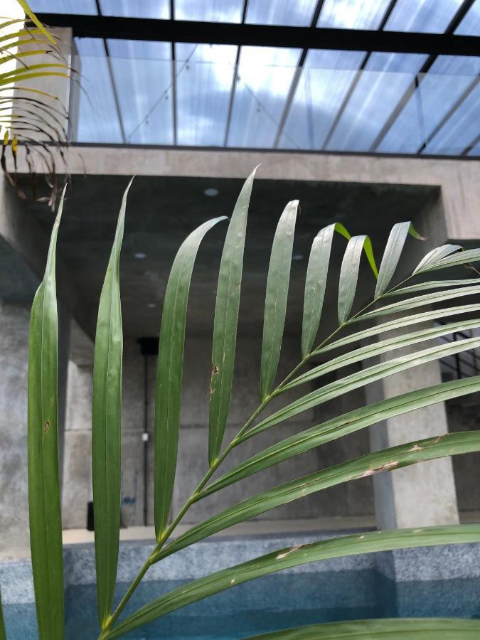 Hotel Suites La Negra Boutique 梅里达 外观 照片