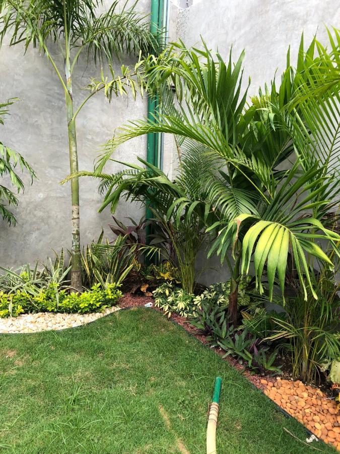 Hotel Suites La Negra Boutique 梅里达 外观 照片